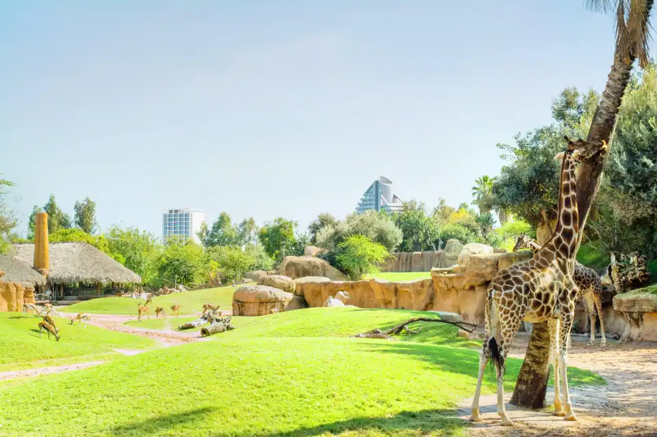 1_Bioparc Valencia