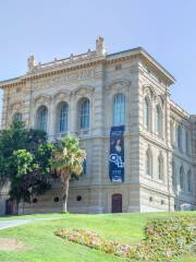 Musée des Beaux-Arts de Marseille