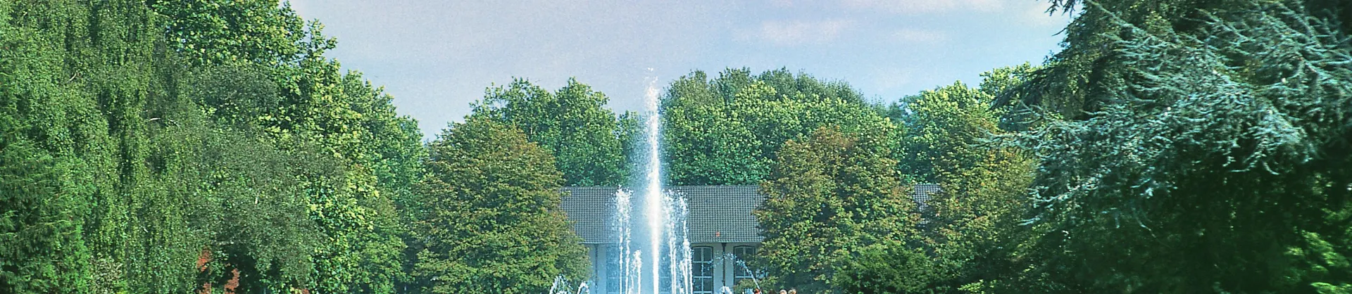 Fioriture Primaverili