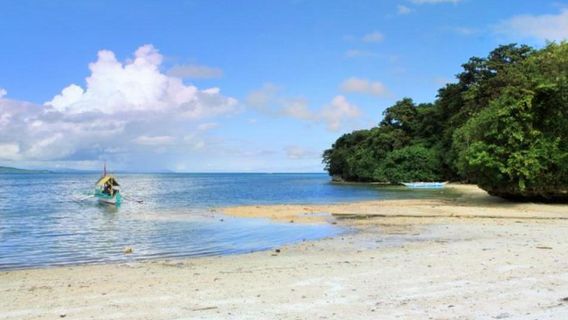 Лагутан Бич