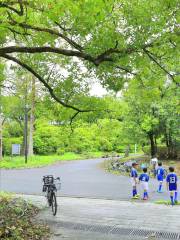 Parque de Hattori Ryokuchi