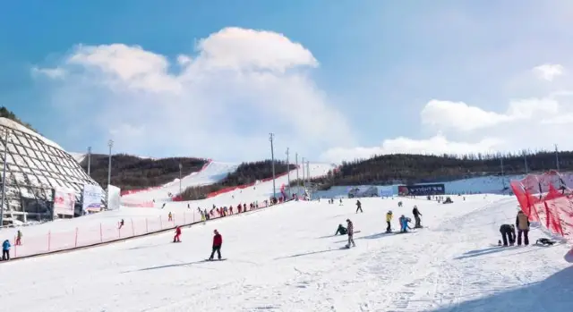 Zhangjiakou Skiing