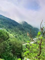 隴南香山自然保護區
