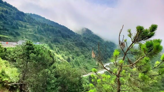Longnan Xiangshan Mountain Nature Reserve