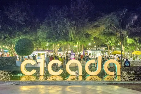 Cicada Market