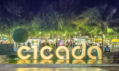 Cicada Market