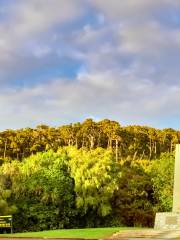 Knights Point Lookout