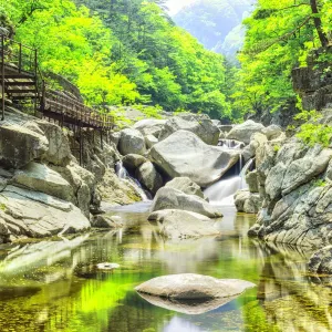 五臺山國立公園