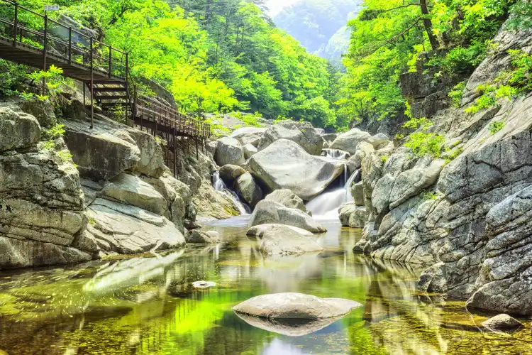 Hotel dekat Woljeongsa