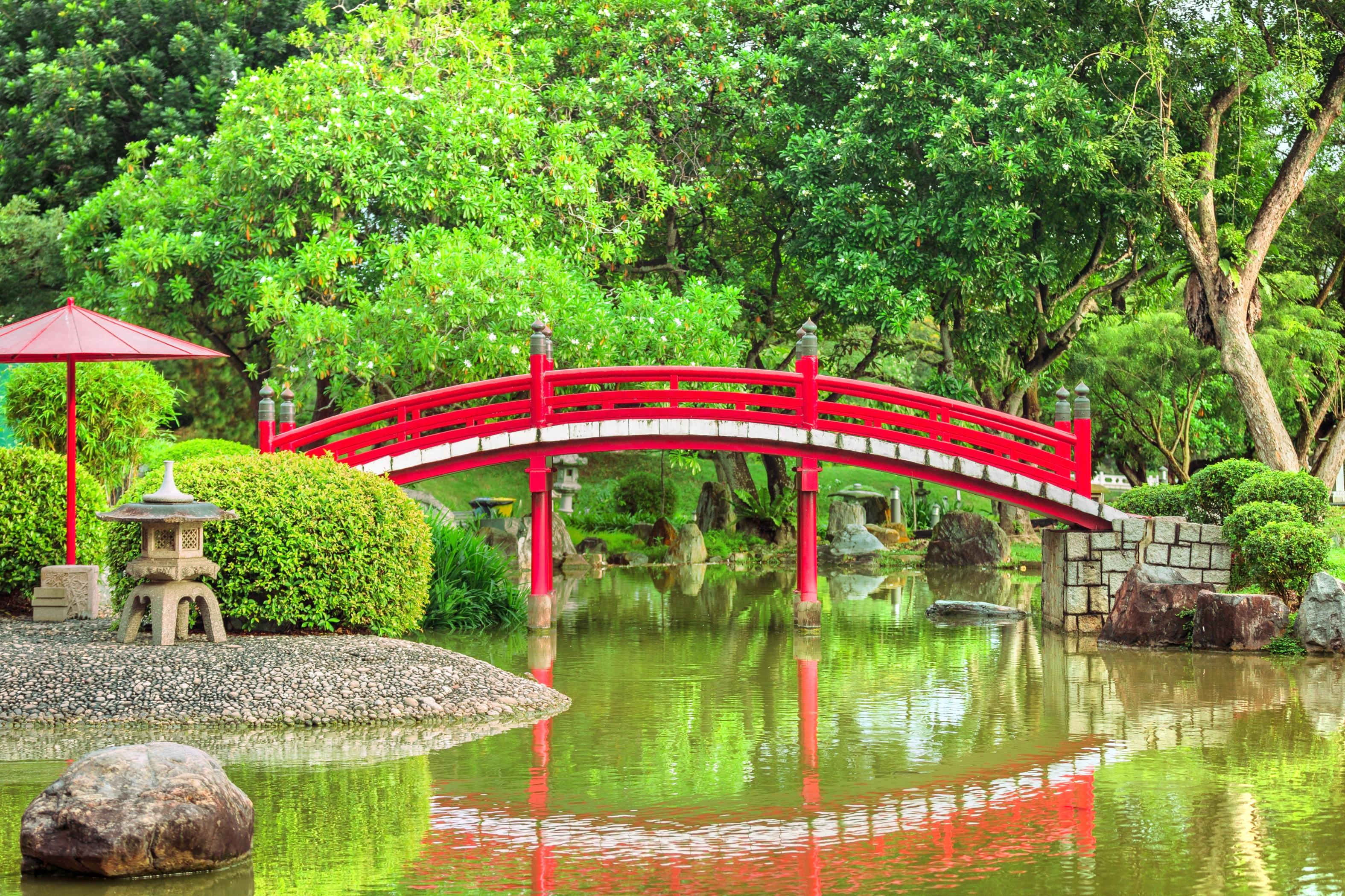Jurong Lake Gardens Opening Hours, Reviews & Photos [2024]