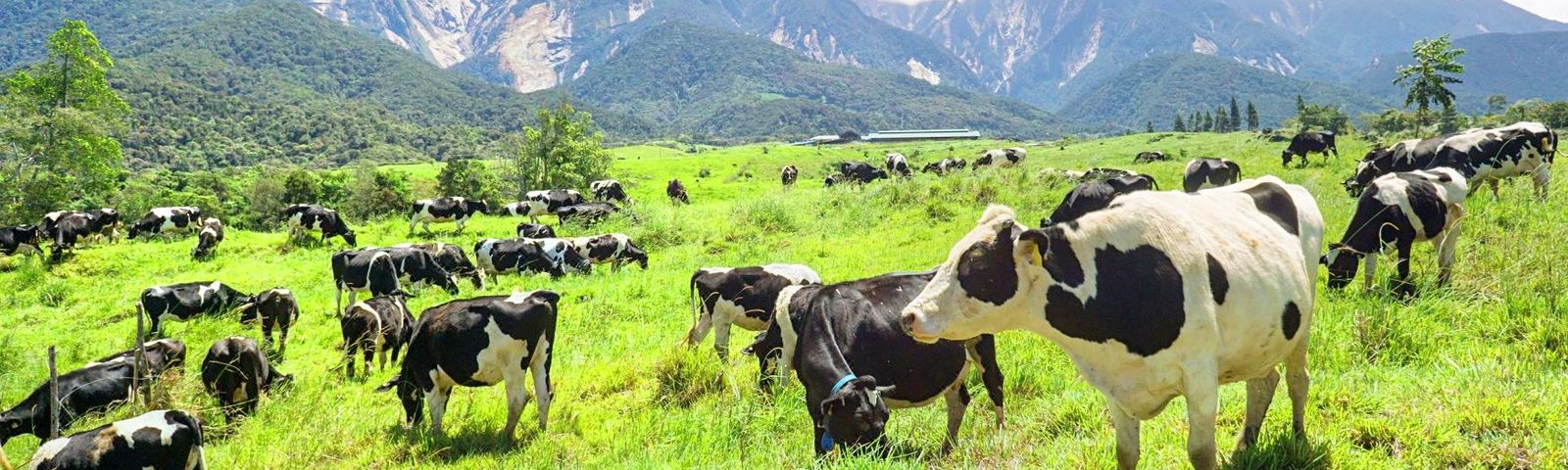 KundasangSporterlebnis