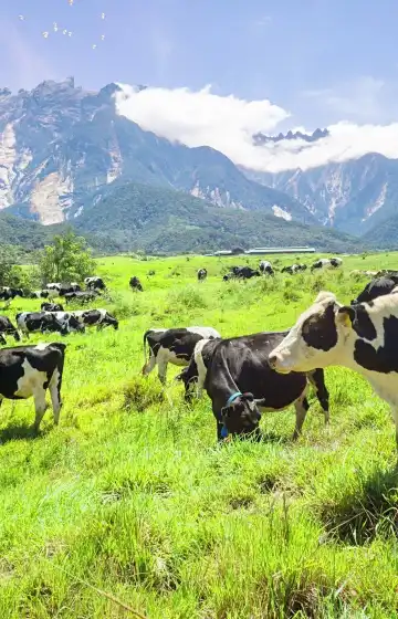 Hotels near Gereja SIB Pekan Kundasang