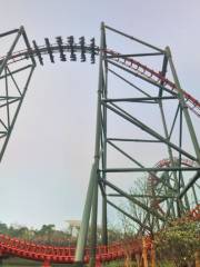 4th Dimension Roller Coaster