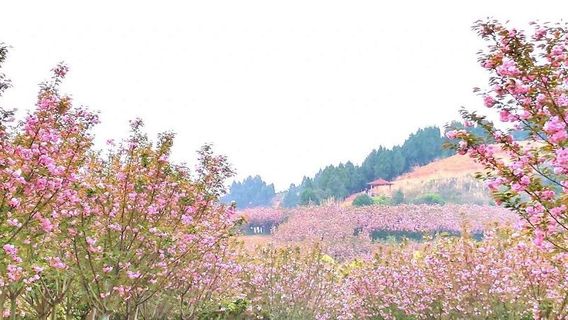 Huamantianxia Scenic Area