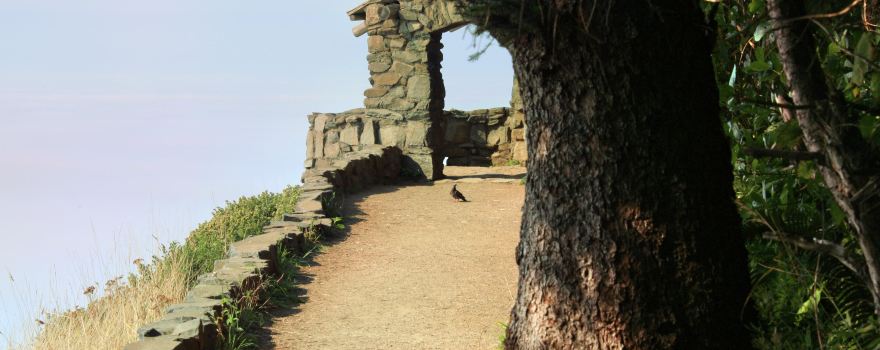 Cape Perpetua