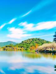 蘿崗香雪公園