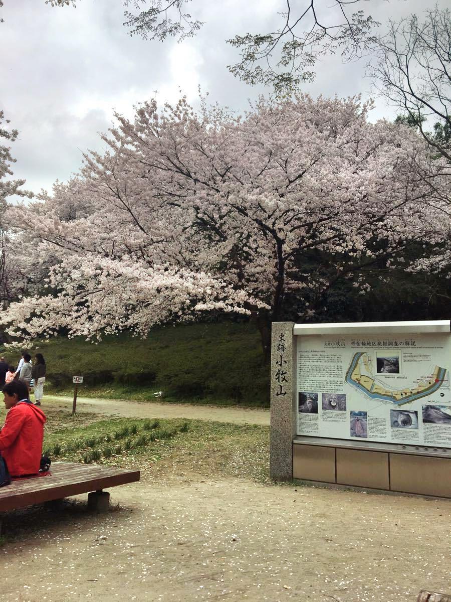 小牧山景點評價 小牧山門票 小牧山優惠 小牧山交通 地址 開放時間 小牧山附近景點 酒店及美食 Trip Com