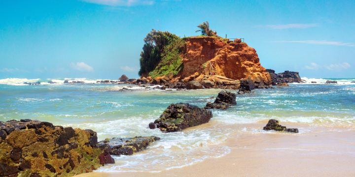 Parrot Rock