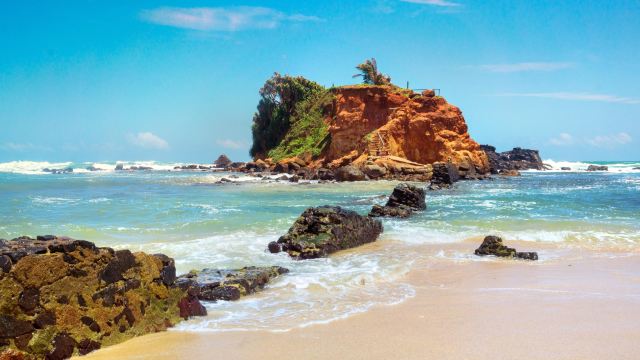 Parrot Rock