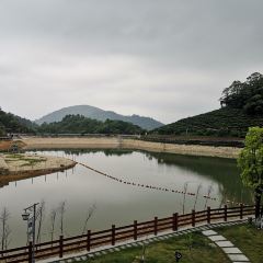 Xiangwo Yunwugu Restaurant User Photo