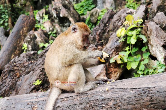 Ao Phang Nga National Park