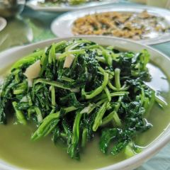 ZUI XI XI NONG JIA GUAN User Photo