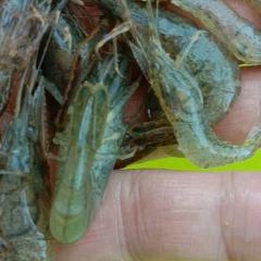 Lvjia Kitchen User Photo