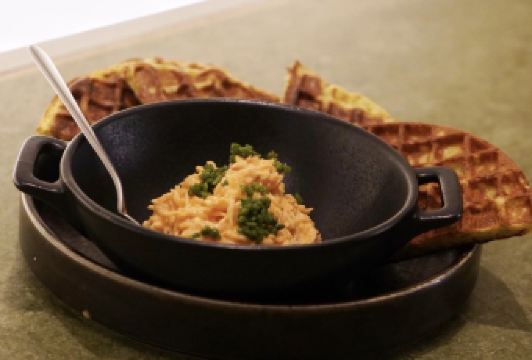 Bluebird Chelsea User Photo