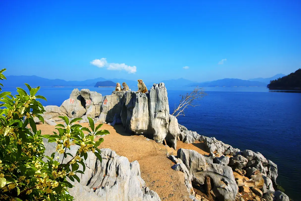 4_千島湖中心湖區