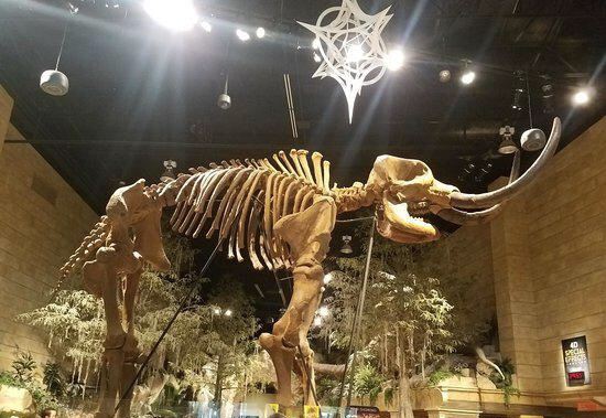 Creation Experience Museum