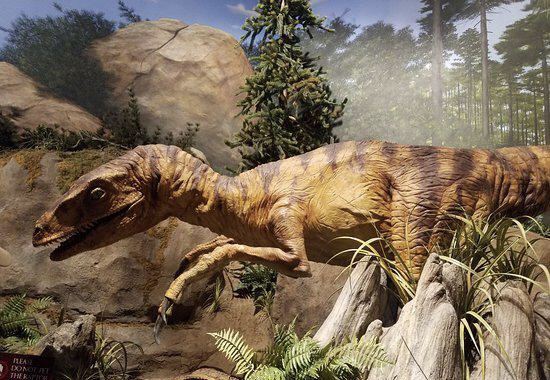 Creation Experience Museum