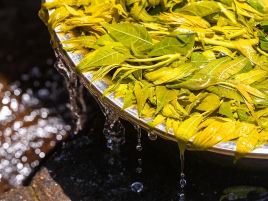 西城蔬菜水果综合超市