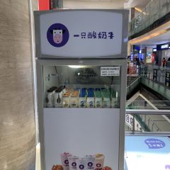 Yizhisuannainiu (beichengtianjie) User Photo