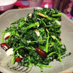 彝米水乡 User Photo