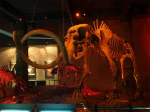 National Geological Park For Bird Fossil In Chaoyang