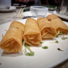 Ying Jee Club User Photo