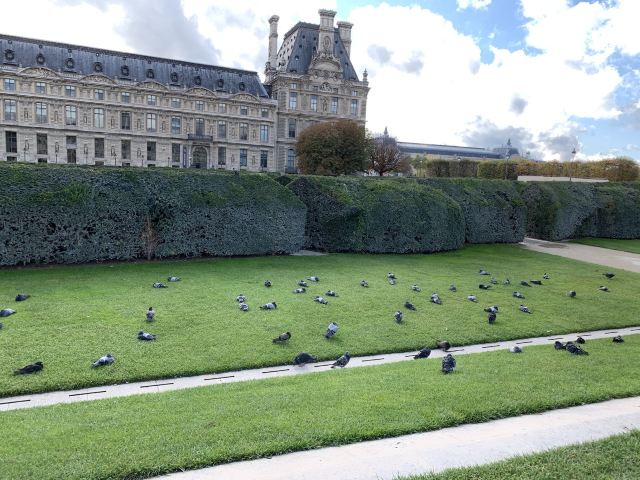 Louvre Museum