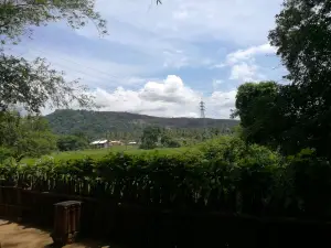 Saruketha