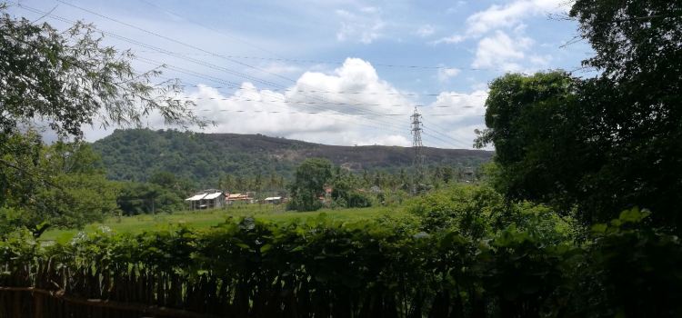 Saruketha
