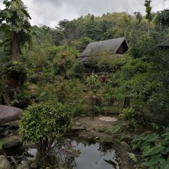 Thranthong Lodge Restaruant User Photo