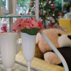 Mon Ta Cha To張用戶圖片