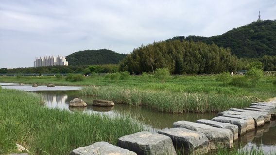 Taehwagang