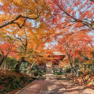 常寂光寺