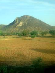 Sariska Tiger Reserve