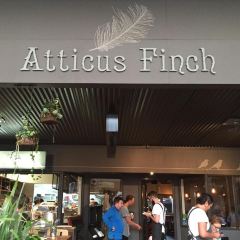 Atticus Finch 여행 사진
