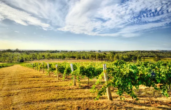 Amanda's on the Edge