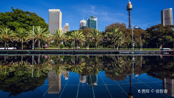 シドニー タワー アイ入場チケット 即時確認 Trip Com