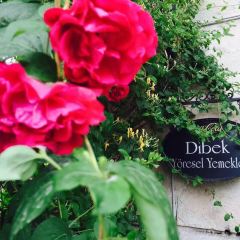 Dibek User Photo