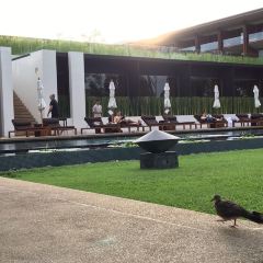 BODHI TERRACE User Photo