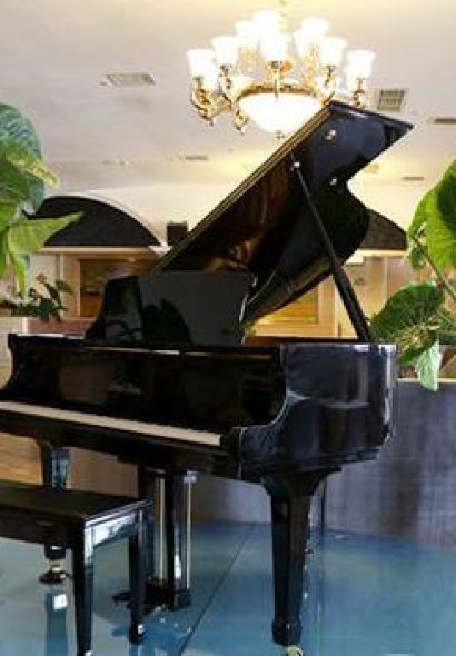 温莎咖啡公馆(布达拉宫景观店)